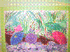 flower show2004 120.jpg